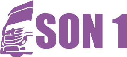 SON1WIN Logo